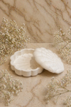 Shell Jar