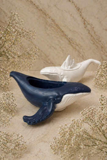 Whale jar