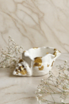 Golden Shell Jar