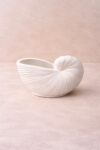Snail Shell Jar