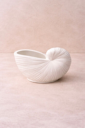 Snail Shell Jar