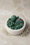 Gradient Jar Cactus Candle