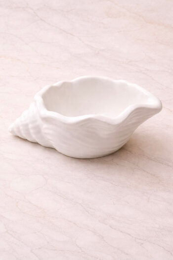 Mini Shell Jar