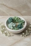 Mini Cactus Jar Candle