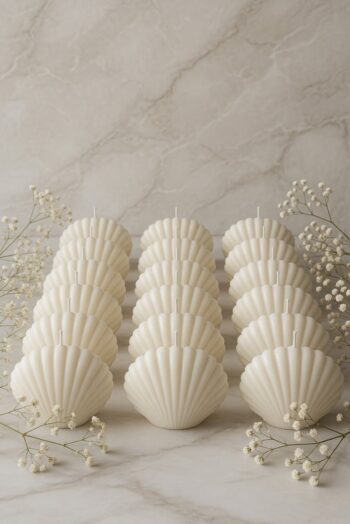 Shell Candle