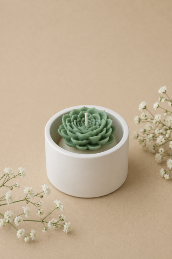 Round Mini Cactus Jar