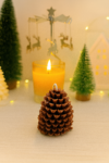 Pinecone Candle
