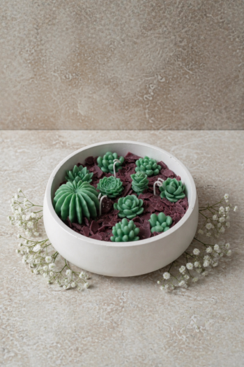 Big Round Jar Cactus Candle