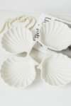 Shell Tray
