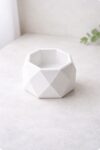 Geometric Holder
