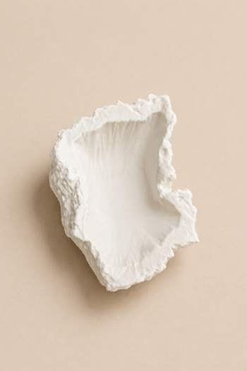 Mountain Dish