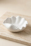 Big Shell Jar