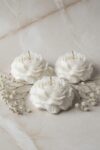 Peony Candle