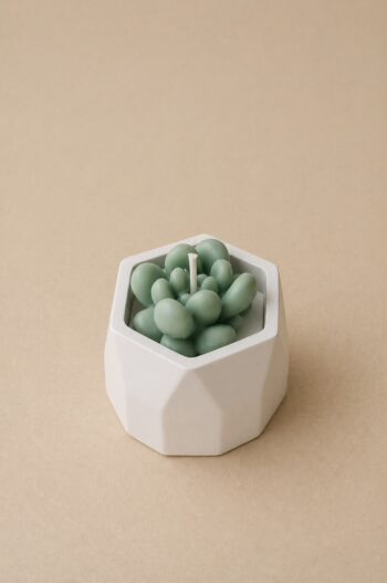 Hexagon Mini Cactus Jar