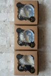 Conch Shell Jar Candle