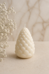 Cute Pinecone