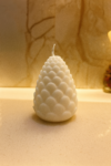 Cute Pinecone
