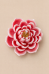 Full Bloom Lotus