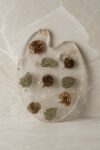Botanical Painting Palette