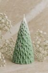 Small Pine Tree