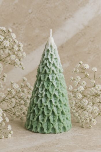 Small Pine Tree
