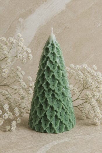 Big Pine Tree