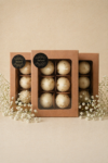 Modak pack of 6